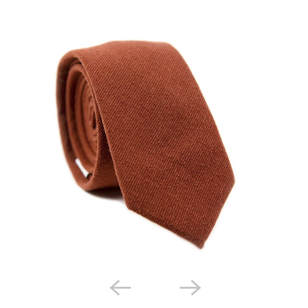 Dazi Rust Skinny Tie - NWT